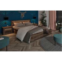 Pat BAYLAR LOZ 160 DMON